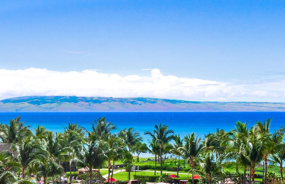 An incredible 5th floor 3 bedroom with ocean views from every room
                