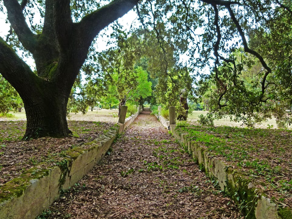 Take a romantic stride through ancient oaks