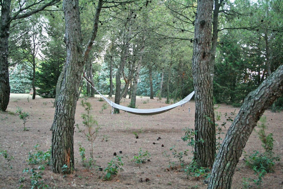 Or just sit and relax at the pinetum