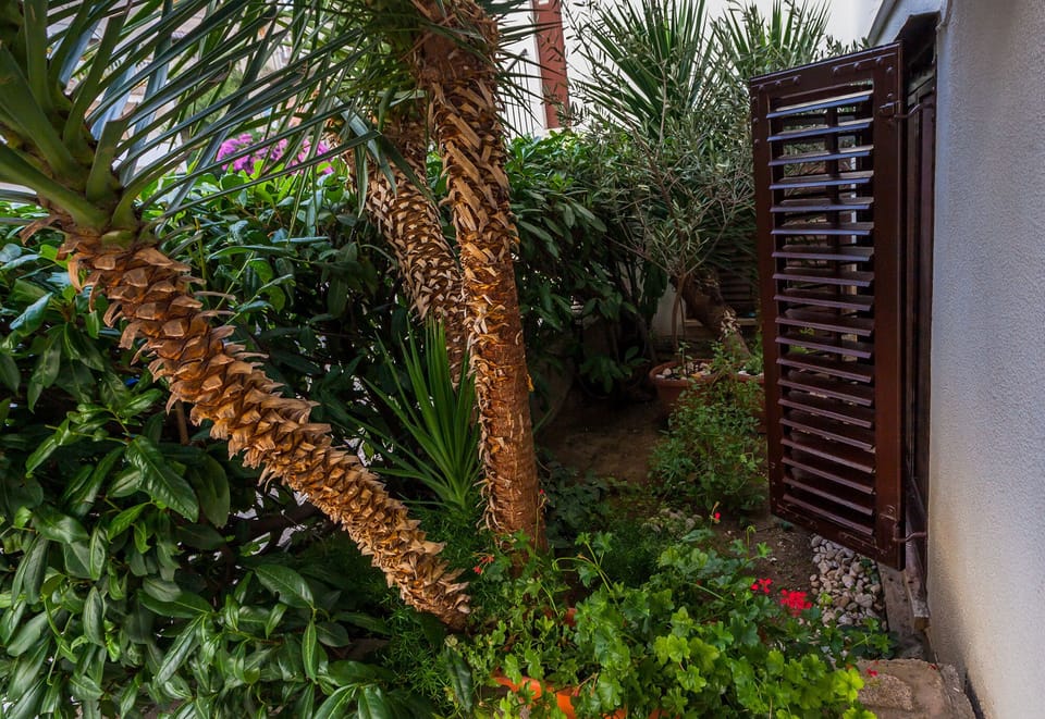 Small garden in front of the window
