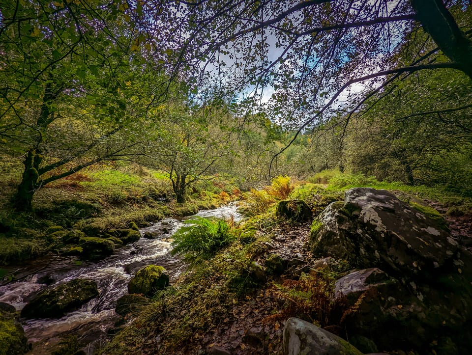 Hiking