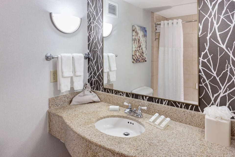 Separate tub and shower, free toiletries, hair dryer, towels