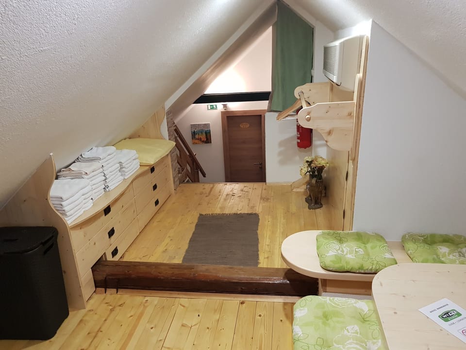 Basic Shared Dormitory, Mixed Dorm | Iron/ironing board, cribs/infant beds, free WiFi, bed sheets