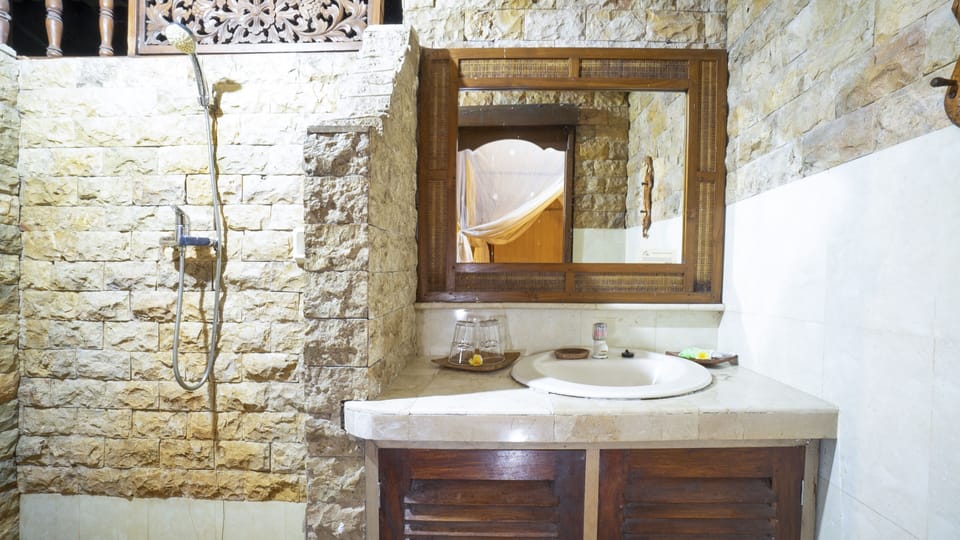 Suite Fish | Bathroom | Shower, hydromassage showerhead, free toiletries