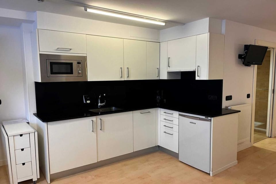 Studio, Multiple Beds | Private kitchen | Full-size fridge, microwave, stovetop, dishwasher