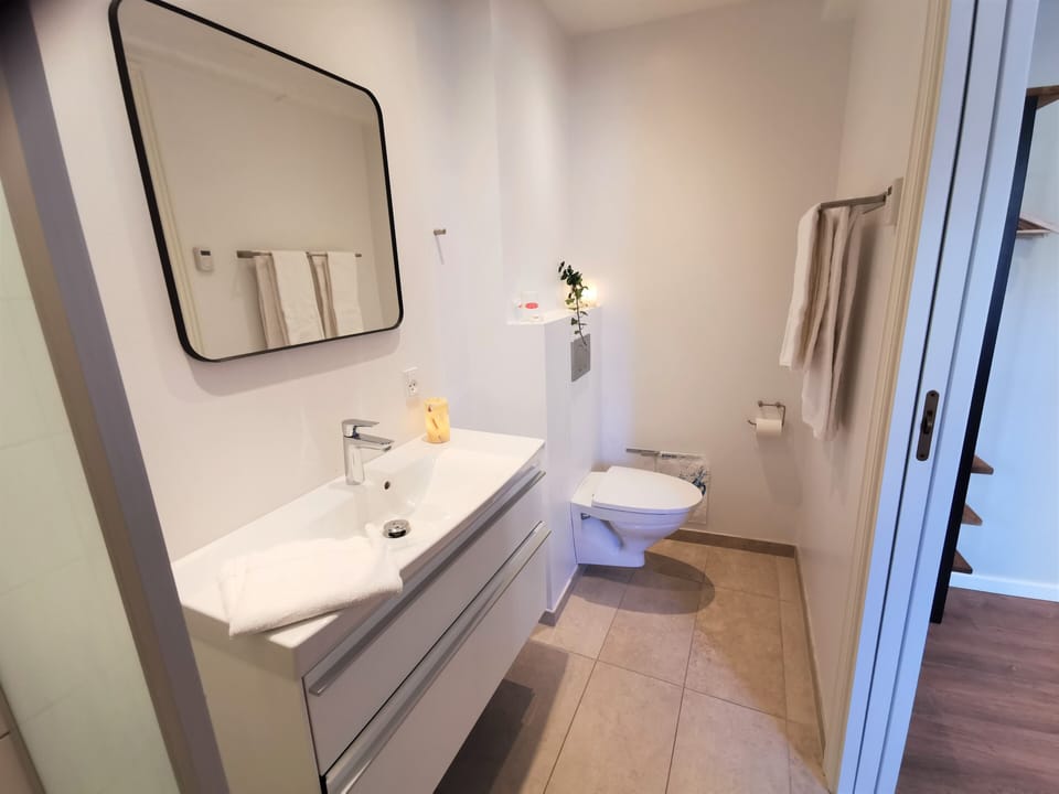 Standard Double Room, Annex Building | Bathroom | Free toiletries, hair dryer, towels, soap