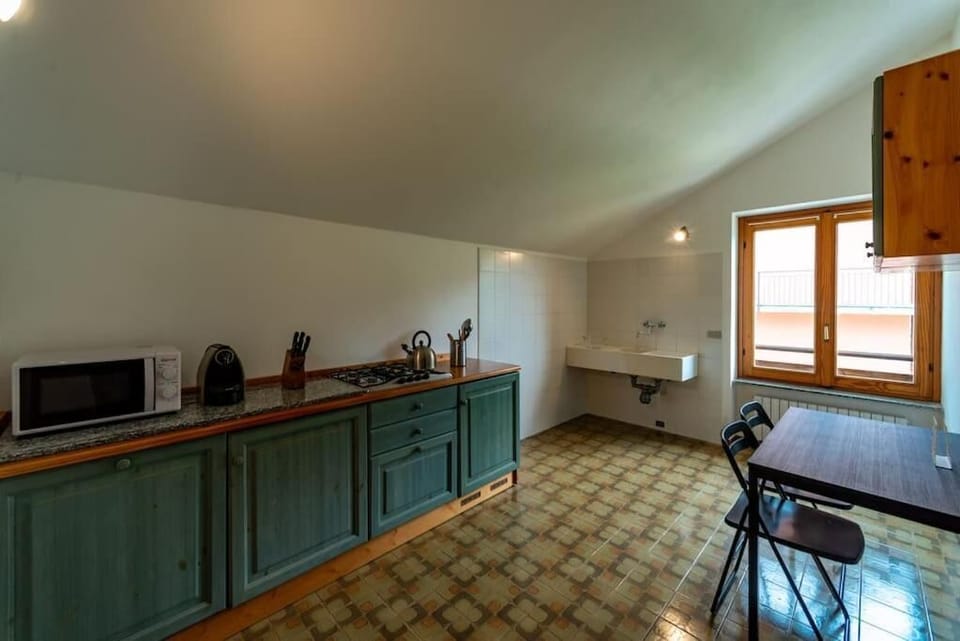 Family Apartment, 1 Bedroom, Kitchen, Lake View | Private kitchen | Fridge, microwave, stovetop, dishwasher