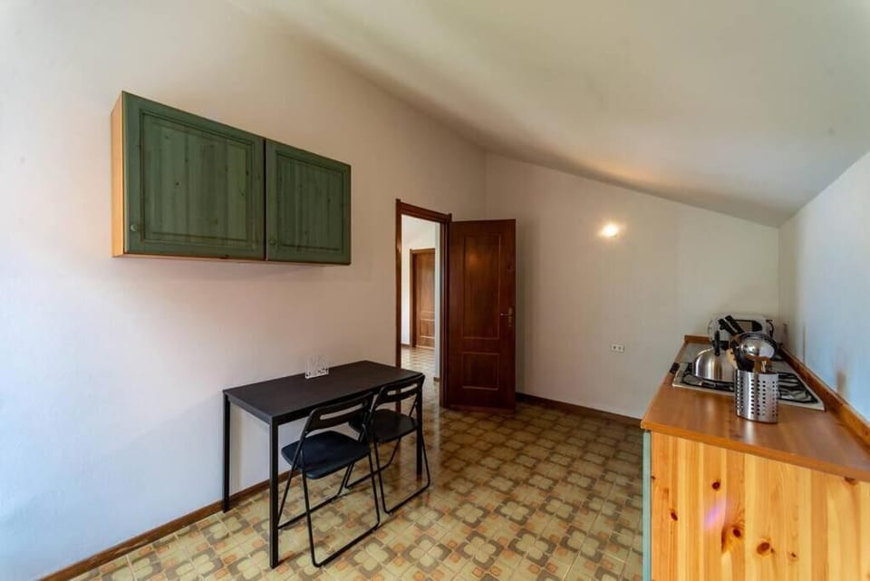 Family Apartment, 1 Bedroom, Kitchen, Lake View | Private kitchen | Fridge, microwave, stovetop, dishwasher