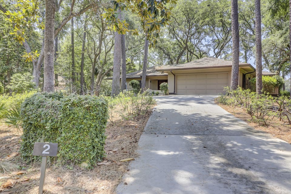 Willow Oak 2