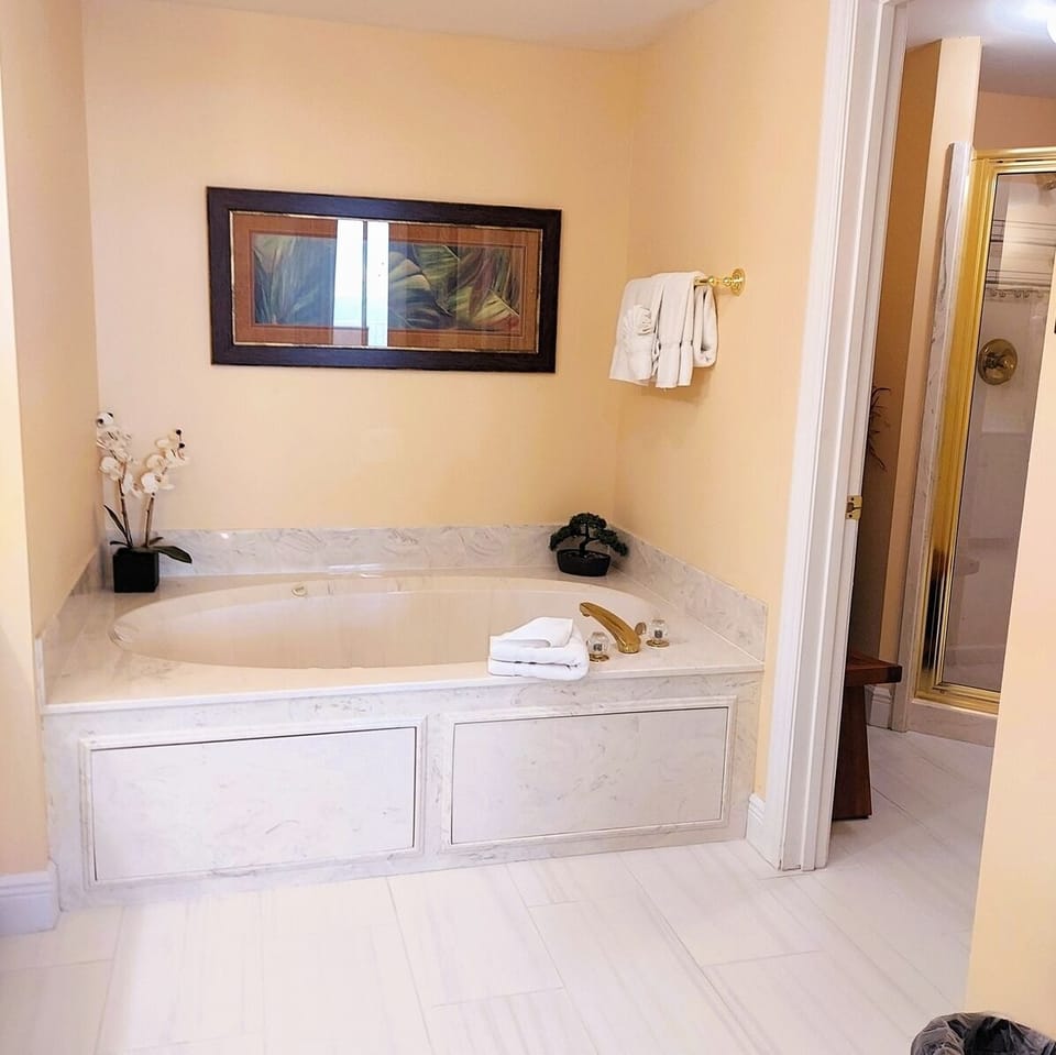 Master Bath Jacuzzi