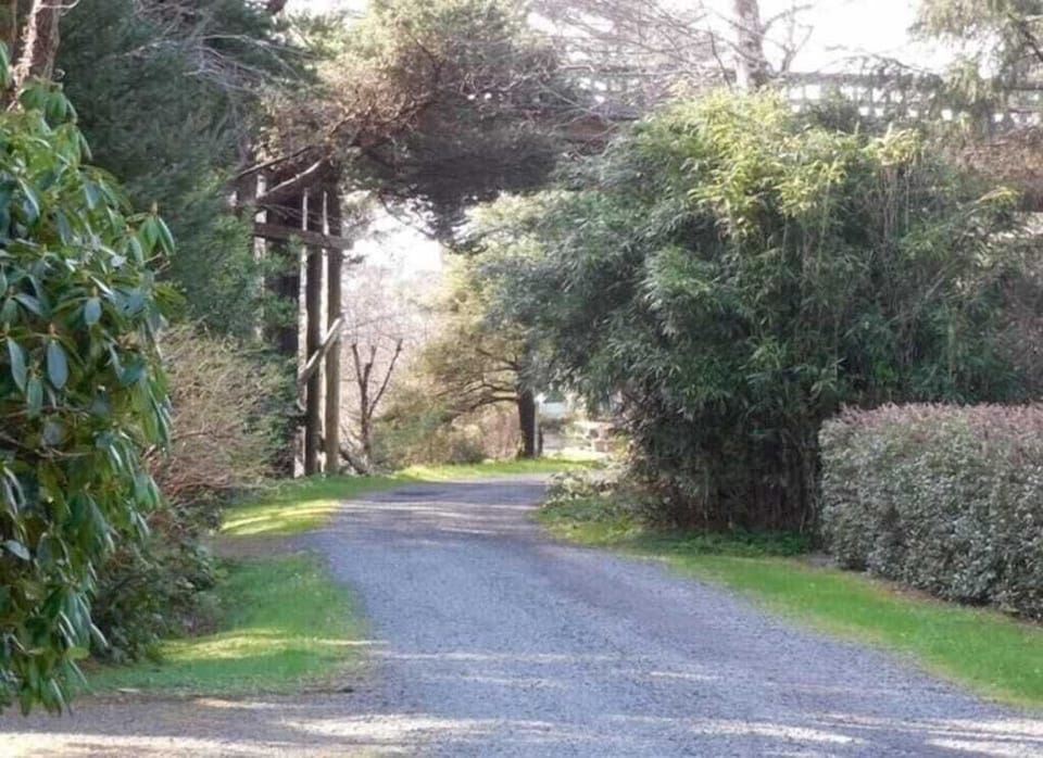 Path to the beach