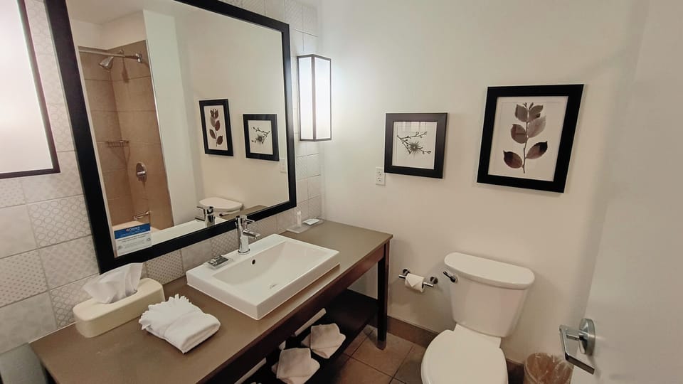 Rainfall showerhead, free toiletries, hair dryer, towels