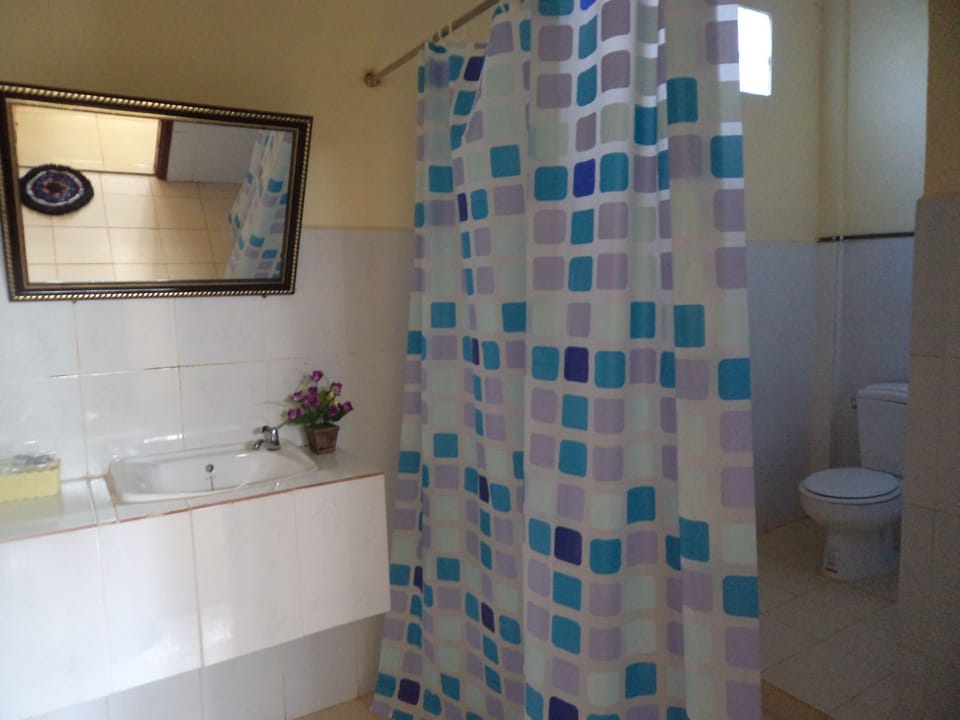 Shower, free toiletries, hair dryer, towels