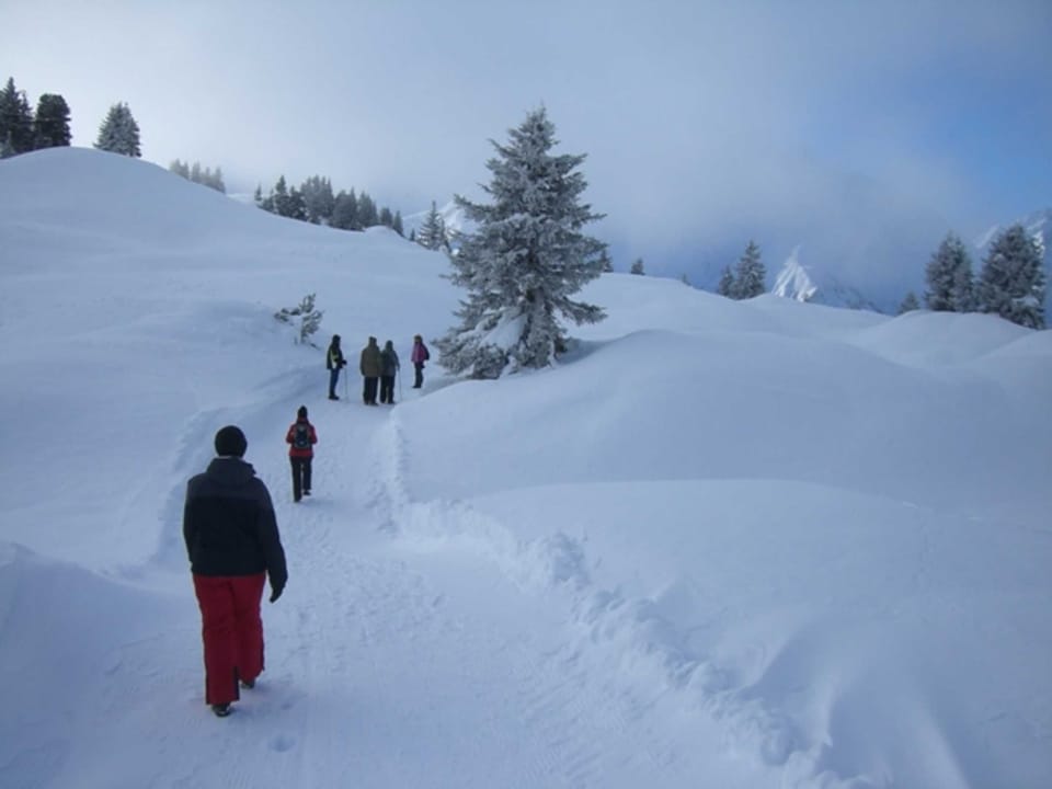 Snow and ski sports