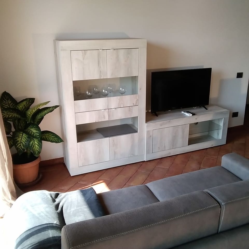Flat-screen TV