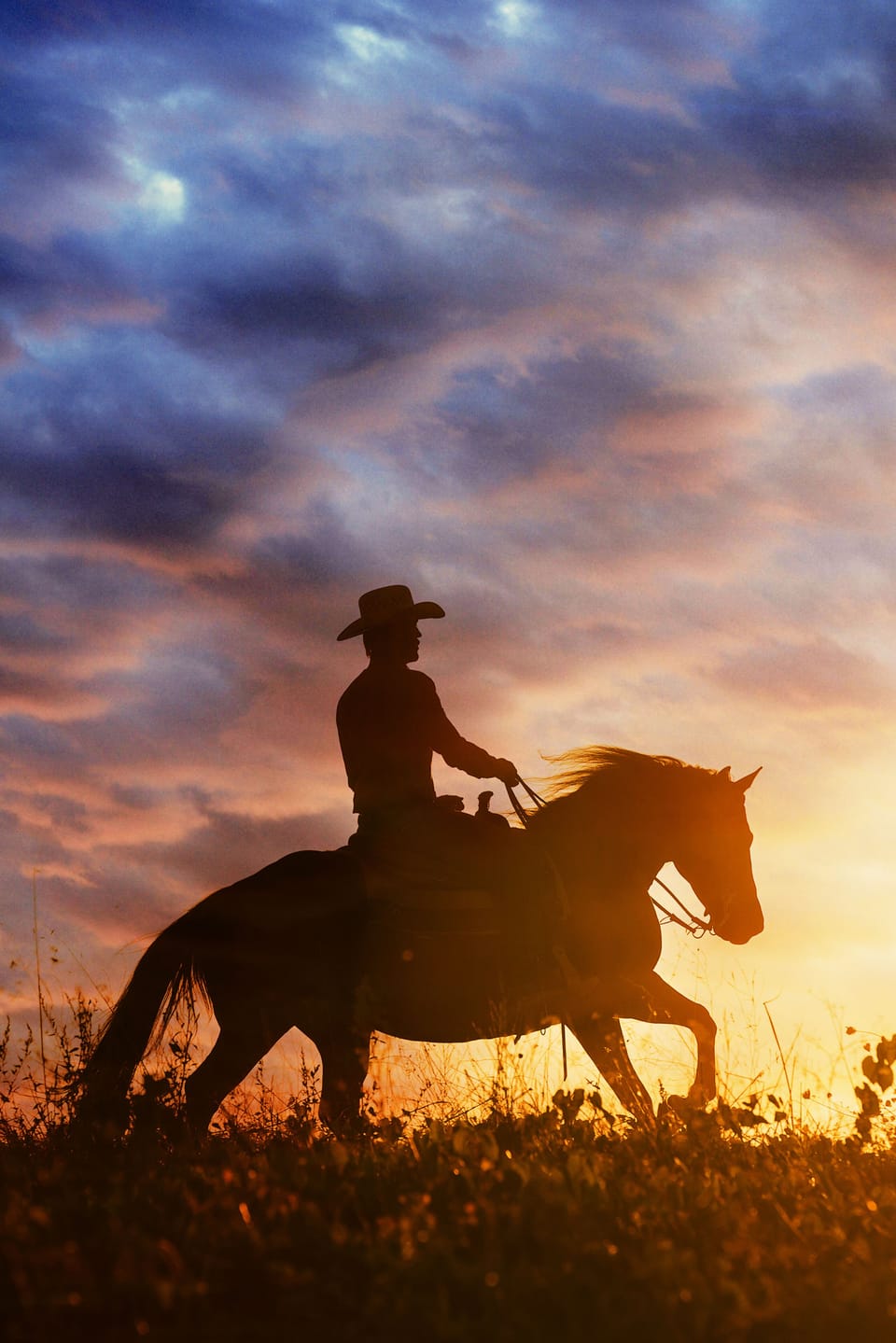 Horseback riding