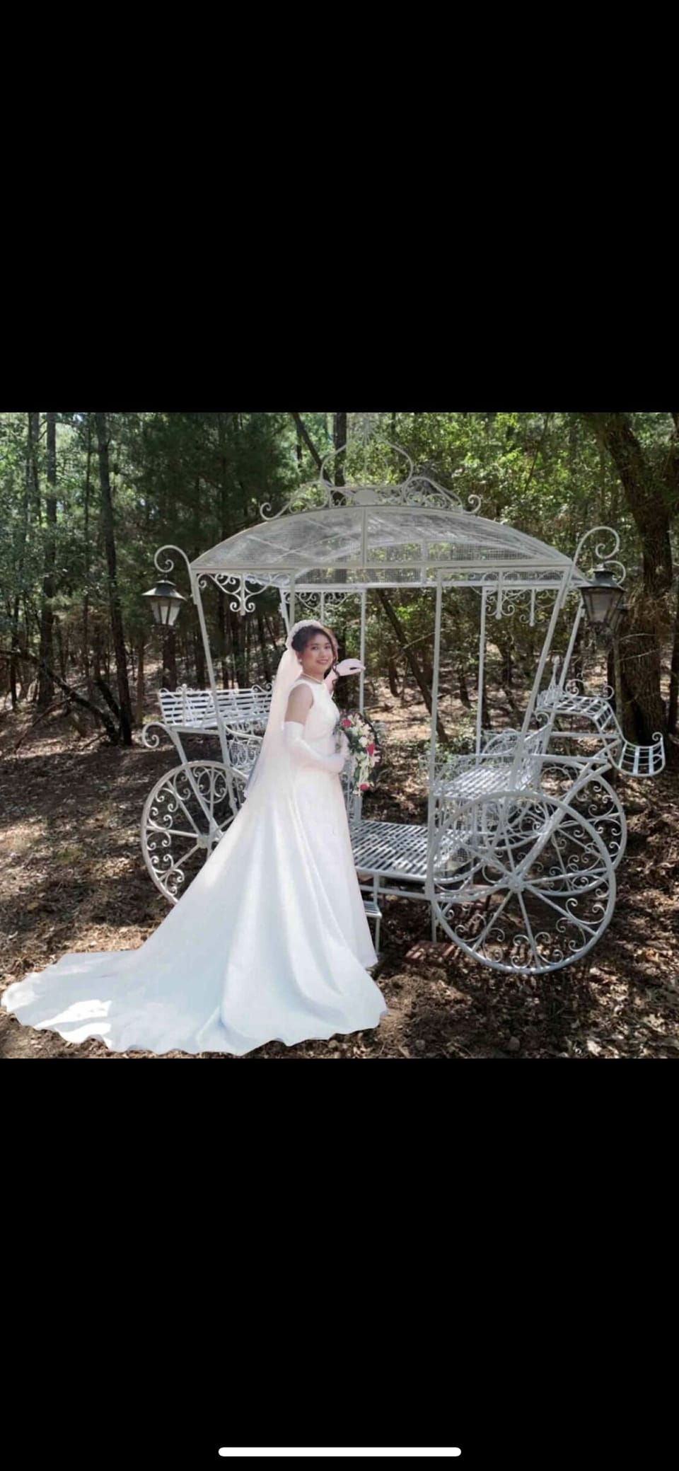 Cinderella style wedding- this carriage fit 4 people . Come and take a pic !