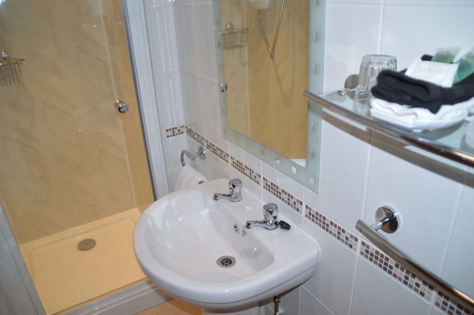 Superior Double or Twin Room | Bathroom | Shower, free toiletries, hair dryer, towels