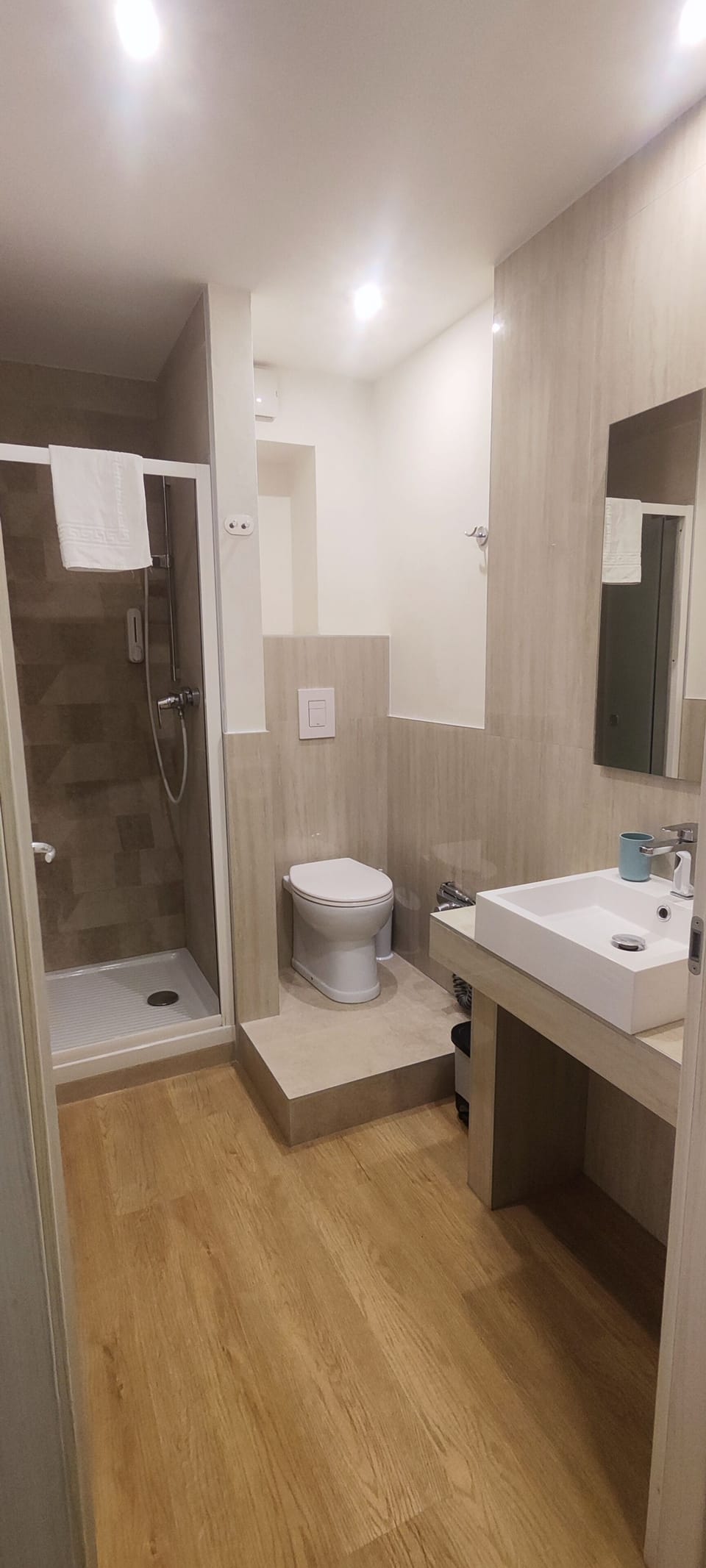 Standard Double Room | Bathroom | Shower, free toiletries, hair dryer, towels
