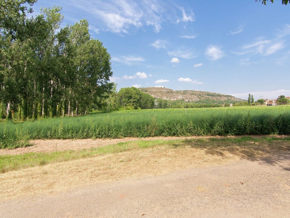 View from Holiday Home [summer]