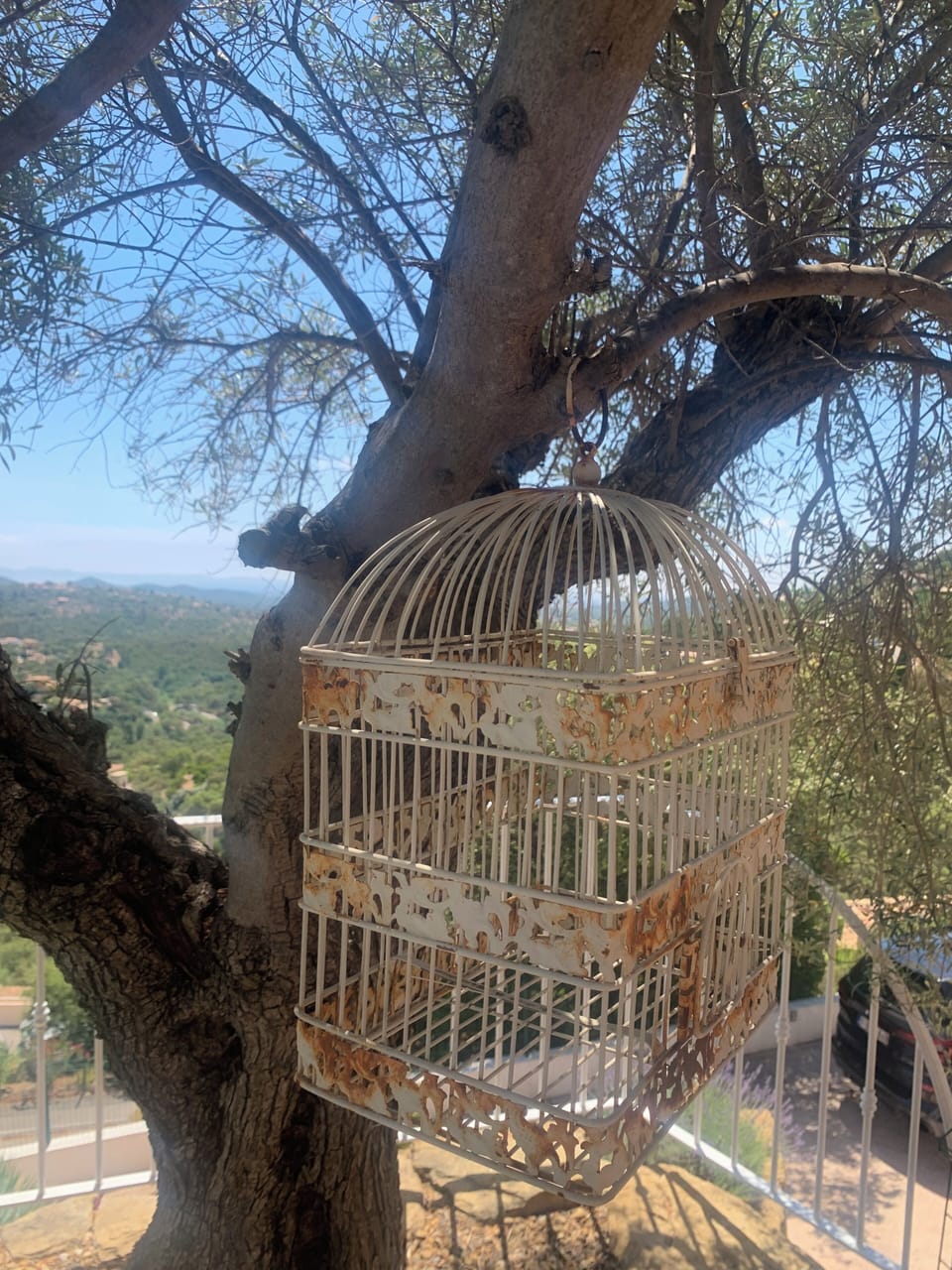 View from property