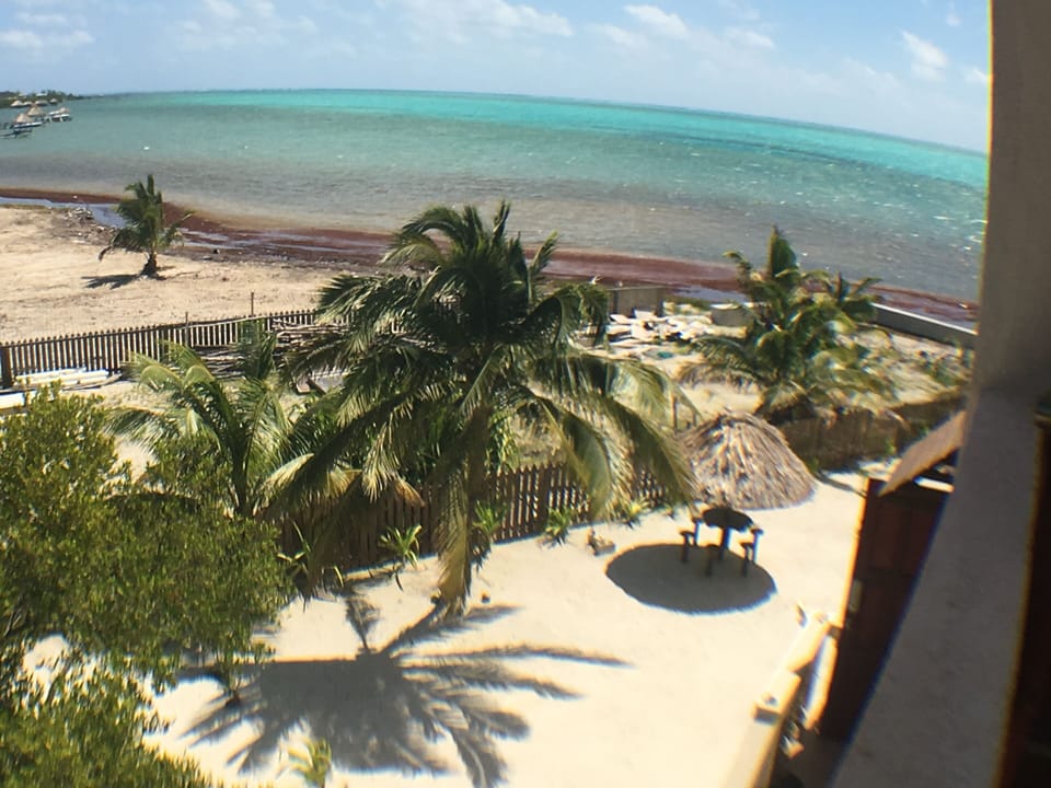 View from 2nd floor back deck 