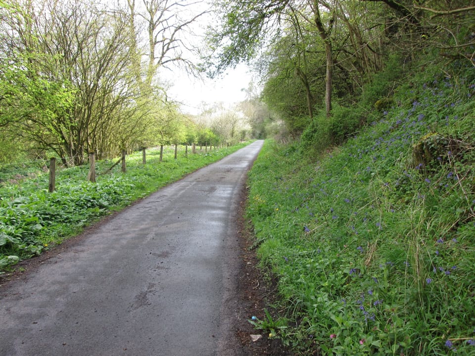 Manifold Trail