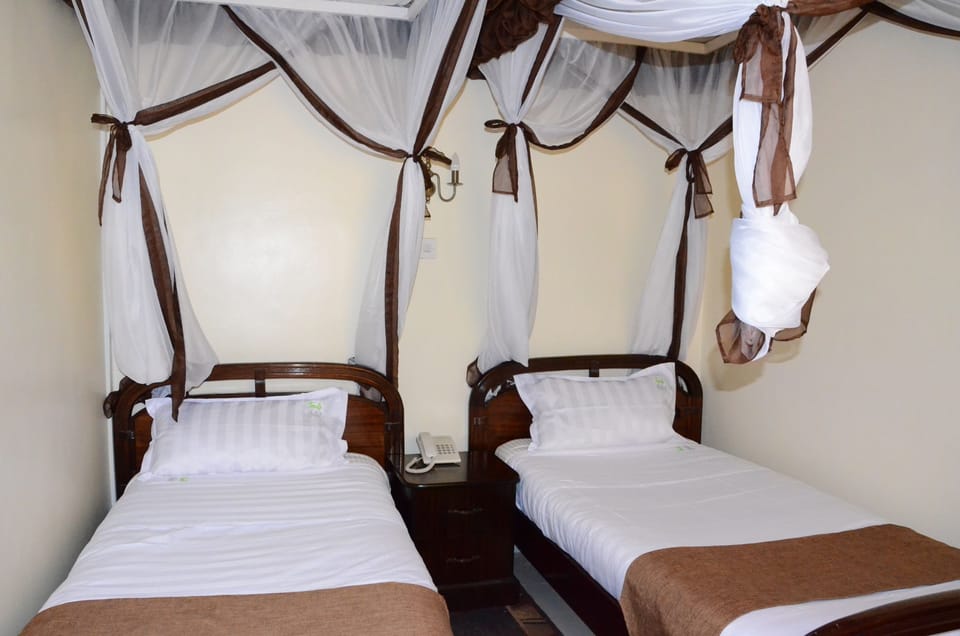 Deluxe Twin Room | Desk, free WiFi
