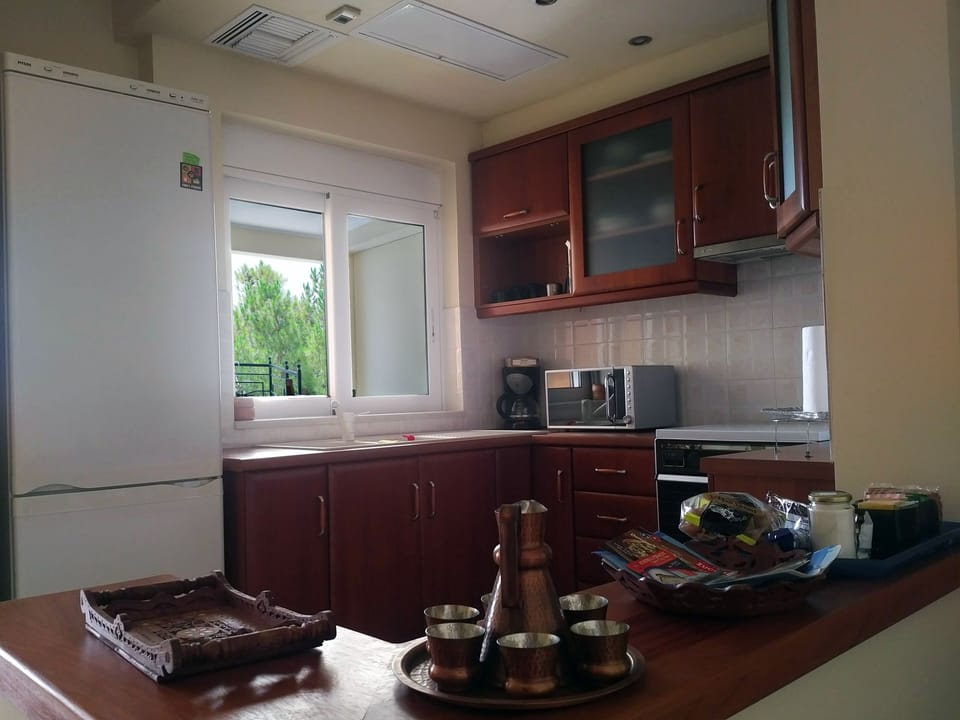 Panoramic Villa, 2 Bedrooms, Private Pool, Sea View | Private kitchen | Espresso maker, coffee/tea maker, full-size fridge, microwave