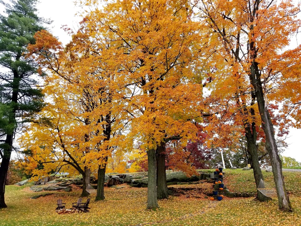 Fall in the Thousand Islands is truly splendid. Take it in while enjoying the river views.