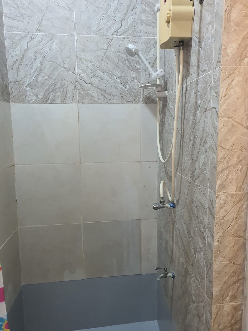 Shower, free toiletries, bidet, towels