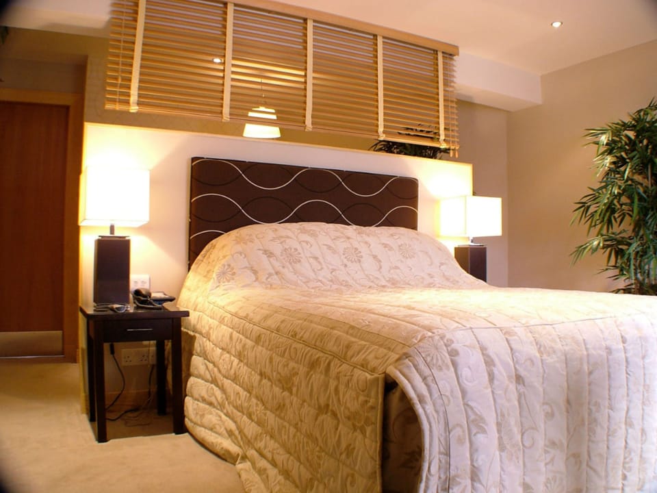 Deluxe Double Room | Hypo-allergenic bedding, desk, iron/ironing board, free WiFi