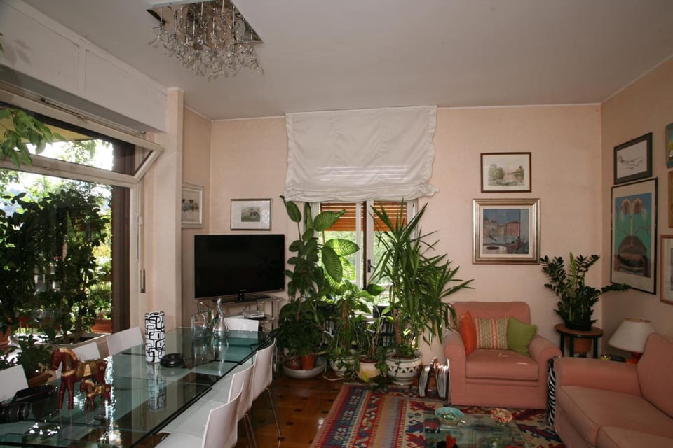 Flat-screen TV