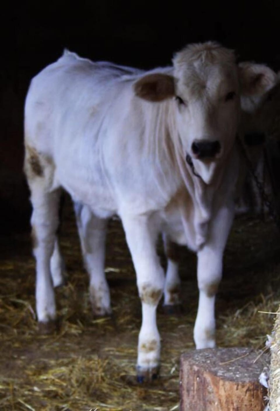 Agriturismo Monti Sibillini Camperato Farm Stay in Umbria
