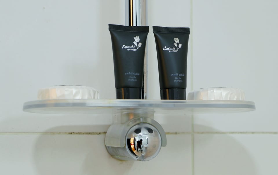 Shower, free toiletries, hair dryer (on request), towels