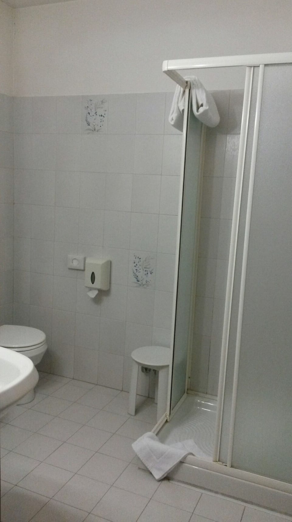 Shower, free toiletries, hair dryer, bidet