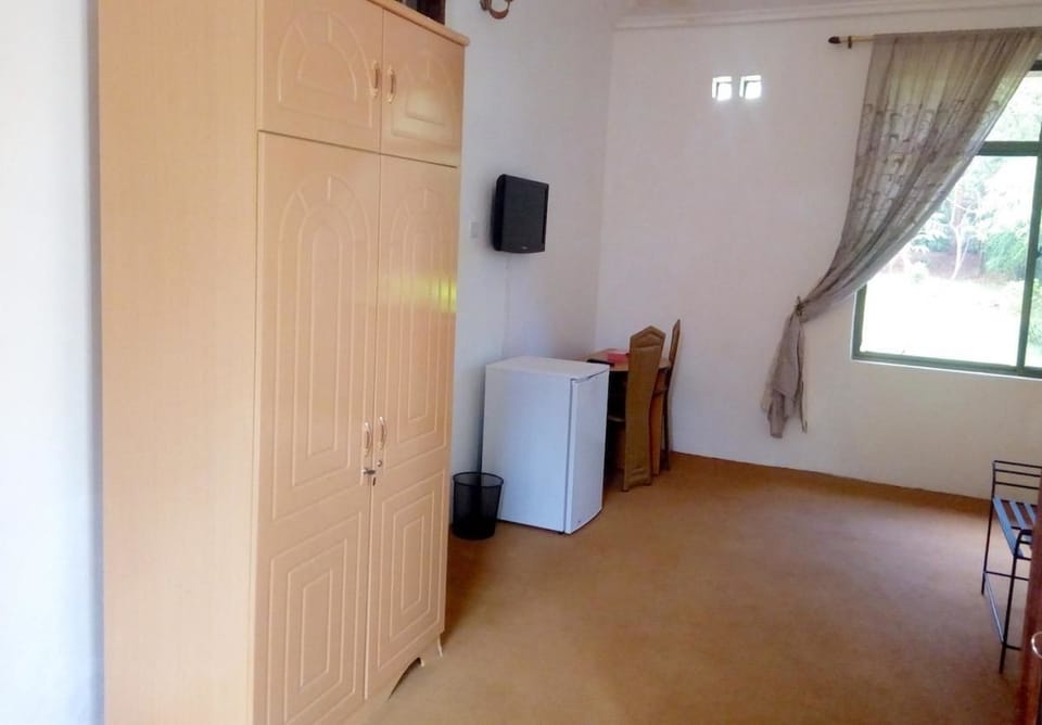 Flat-screen TV