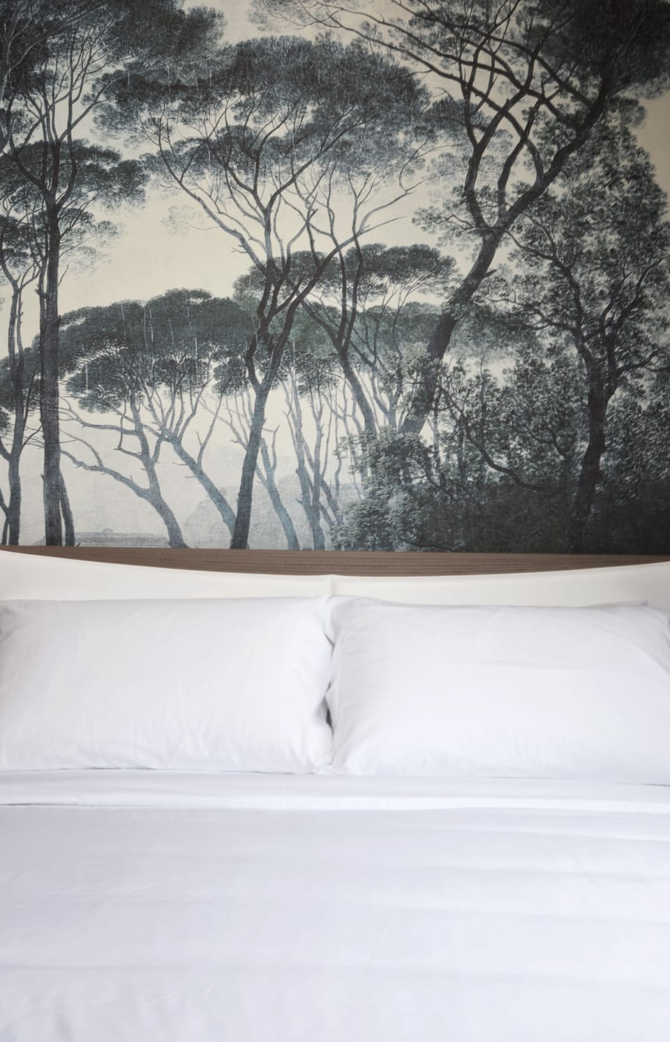 Superior Double Room | Room amenity