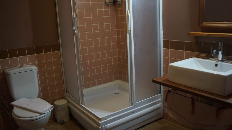 Standard Room, 1 Queen Bed, Fireplace, Mountainside | Bathroom | Shower, free toiletries, hair dryer, slippers