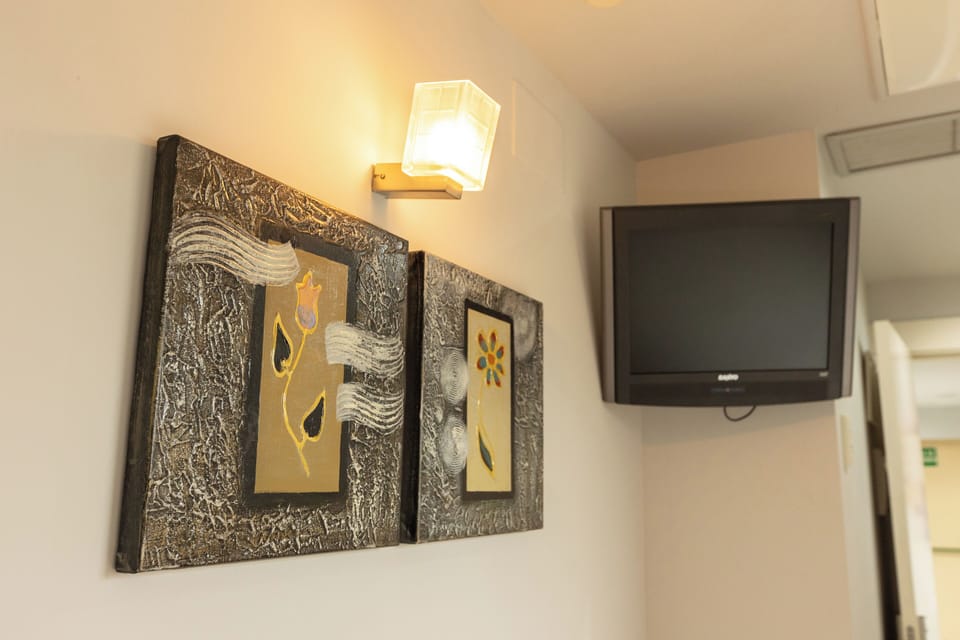 Single Room | Minibar, in-room safe, individually decorated, desk