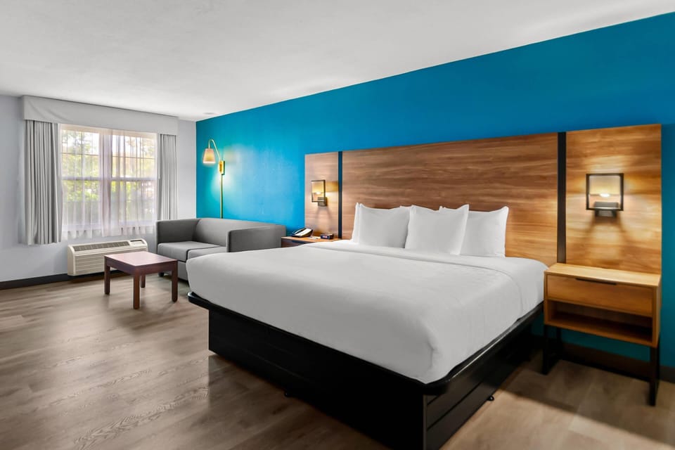 Standard King Non Smoking | Premium bedding, in-room safe, individually decorated