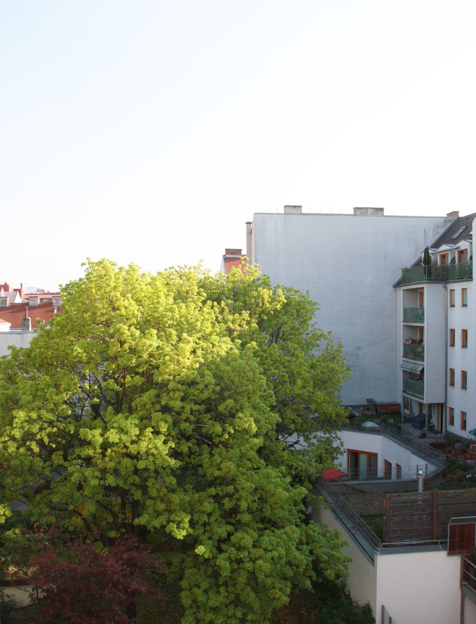 City Room, Garden View | View from room