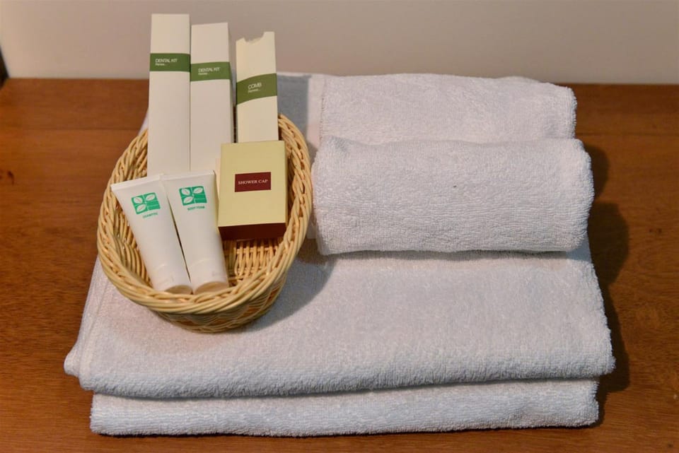 Shower, free toiletries, slippers, towels