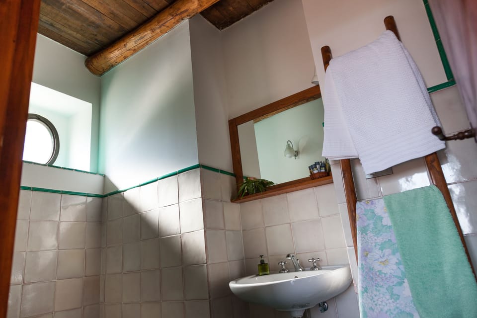 Double Room, Terrace, Garden View | Bathroom | Shower, free toiletries, hair dryer, bathrobes