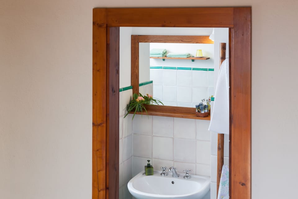 Double Room, Terrace, Garden View | Bathroom | Shower, free toiletries, hair dryer, bathrobes