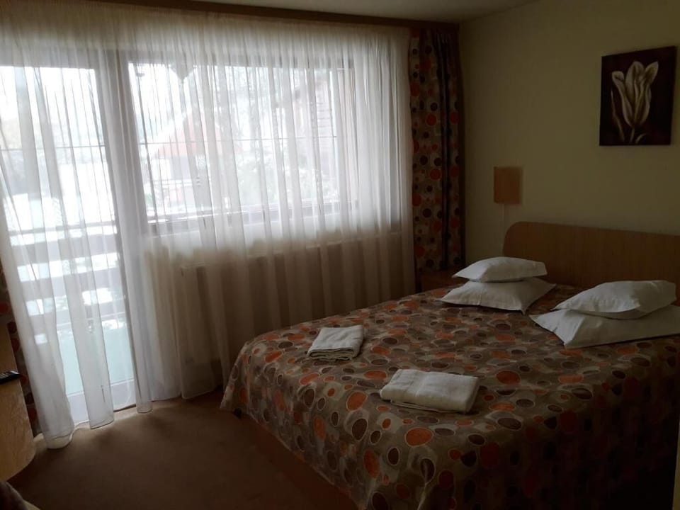 Minibar, desk, iron/ironing board, WiFi (free)
