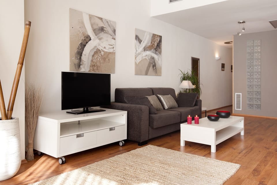 Flat screen TV and sofa bed