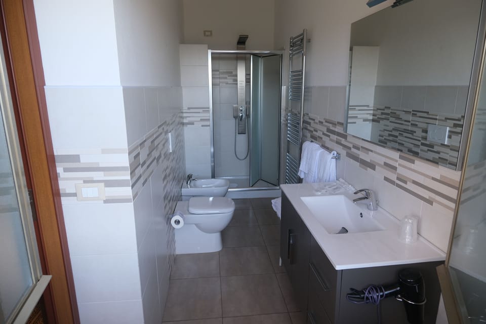Shower, free toiletries, hair dryer, bidet