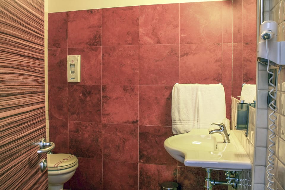 Standard Double Room | Bathroom | Shower, hair dryer, bidet, towels