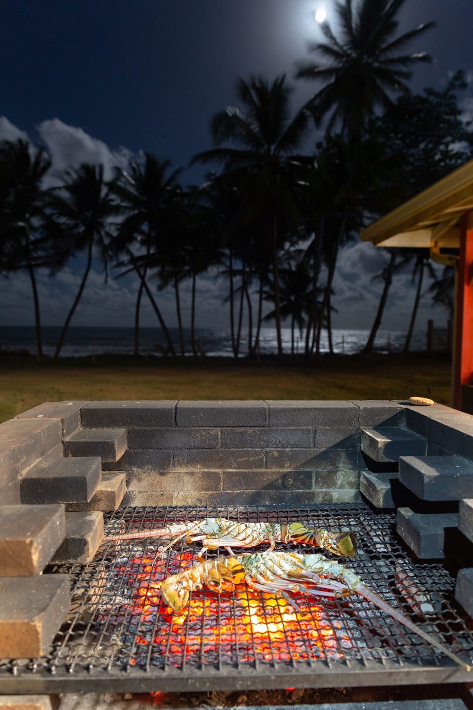 Grill with a panorama